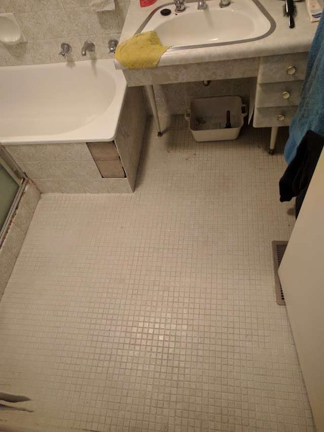 Knight Tiles & Lemon Spotted Gum project photo 4