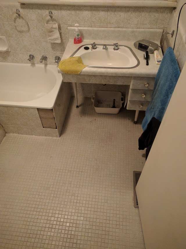 Knight Tiles & Lemon Spotted Gum project photo 5