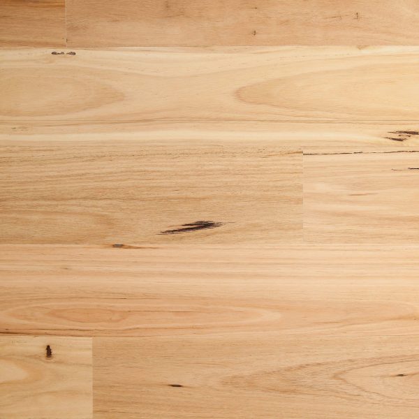 Blackbutt / Matte Brushed engineered timber flooring