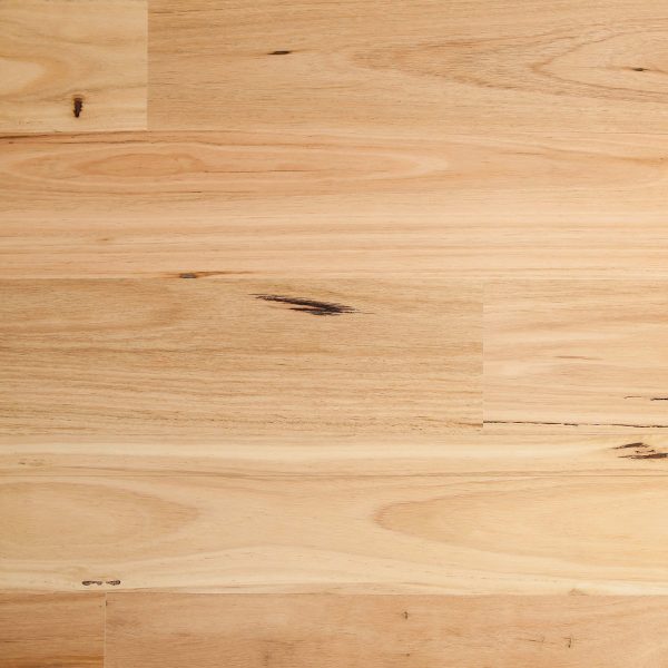 Blackbutt Smooth 180mm-wide Australian hardwood flooring close-up
