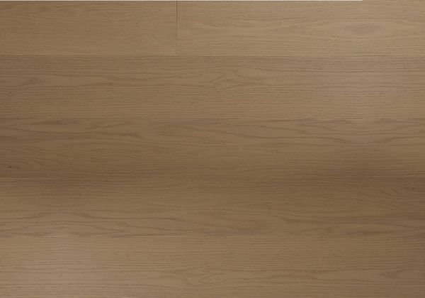 Close-up view of Amara Sarasota Bay Premium American Oak flooring by showcasing natural wood grain, brushed matte finish, and micro-bevel detailing