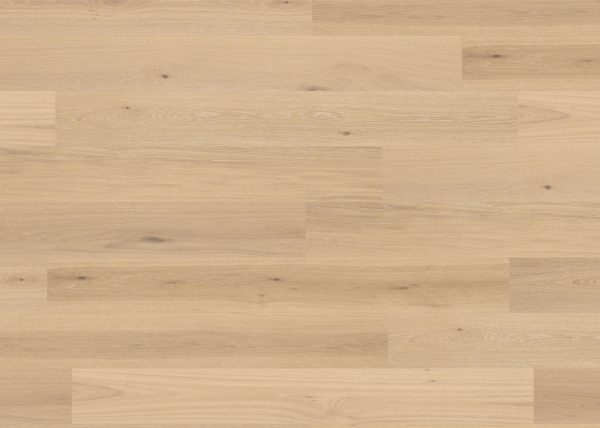 Close-up of Luxxe240 Seaspray Wide European Oak Flooring